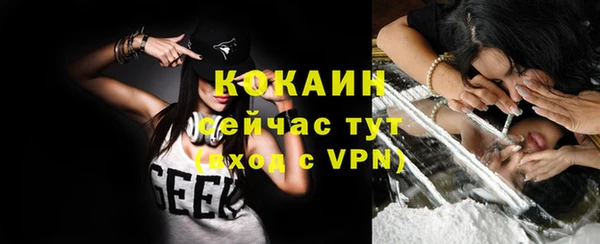 apvp Краснослободск