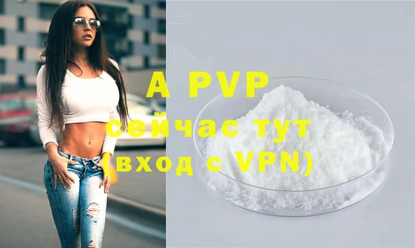 apvp Краснослободск