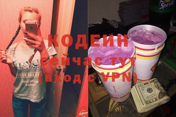 apvp Краснослободск