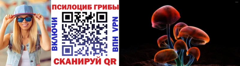 MEGA зеркало  Красавино  Псилоцибиновые грибы Psilocybe  продажа наркотиков 